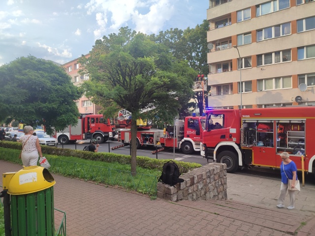Strażacy interweniowali w bloku przy ulicy Kadłubka w Szczecinie. W mieszkaniu na szóstym piętrze doszło do pożaru w przedpokoju.