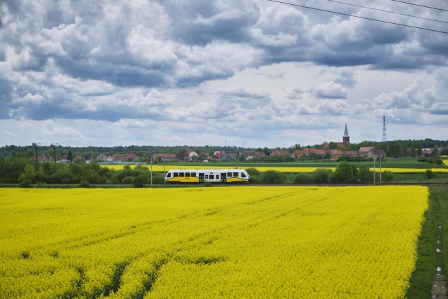 Jeszcze tylko do 27 sierpnia można będzie skorzystać z wakacyjnego połączenia Kolei Dolnośląskich ze Świnoujścia do Wrocławia. Od czasu jego uruchomienia w czerwcu z przejazdu skorzystało już ponad 7 tys. osób. Podróż zajmuje niespełna 5,5 godziny, co oznacza, że jest to najszybsza relacja kolejowa na tej trasie.
