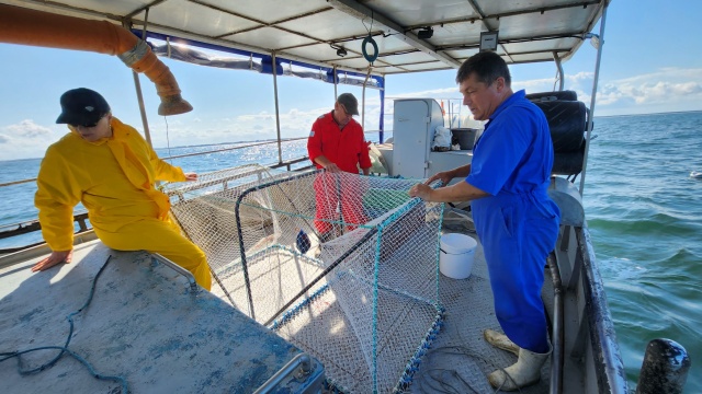Foko-oporne klatki do połowu ryb powstaną w Zachodniopomorskim Uniwersytecie Technologicznym w Szczecinie. To za sprawą pilotażowego projektu, który do końca roku realizowany będzie na wodach morskich i śródlądowych - mówi rzecznik szczecińskiego ZUT-u Emilia Kujawa.