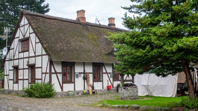 Większość rolników z Pomorza Zachodniego jest już po żniwach, jest jednak jedna miejscowość w okolicach Kamienia Pomorskiego, która na swoje zbory poczeka dopiero do zimy. W Rozwarowie mieści się jedna z niewielu w Europie uprawa trzciny pospolitej, którą zbiera się dopiero zimą.