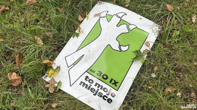 W kilkunastu miejscach w Stargardzie pojawiły się tajemnicze, zielone plakaty. Już niedługo w ich miejscach pojawią się rzeźby Gryfików.