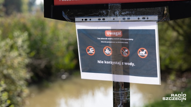 Trwa monitoring Jeziorka Słonecznego i rzeki Bukowej w Szczecinie. Prowadzone są też prace zwiększające zdolności retencyjne zbiornika - informują Wody Polskie.