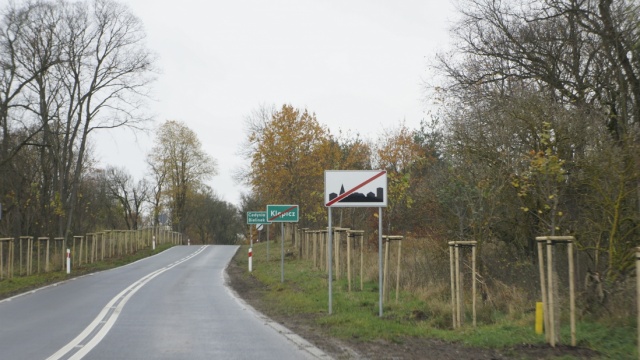 Ponad tysiąc trzysta nowych drzew posadzono w tym roku w regionie, przy drogach wojewódzkich.