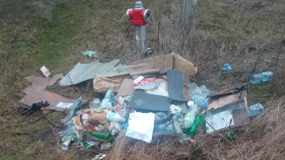źródło: https://www.swinoujscie.pl/pl/artykul/126/18599/smieciarz-ukarany-w-odpadach-byly-jego-dane