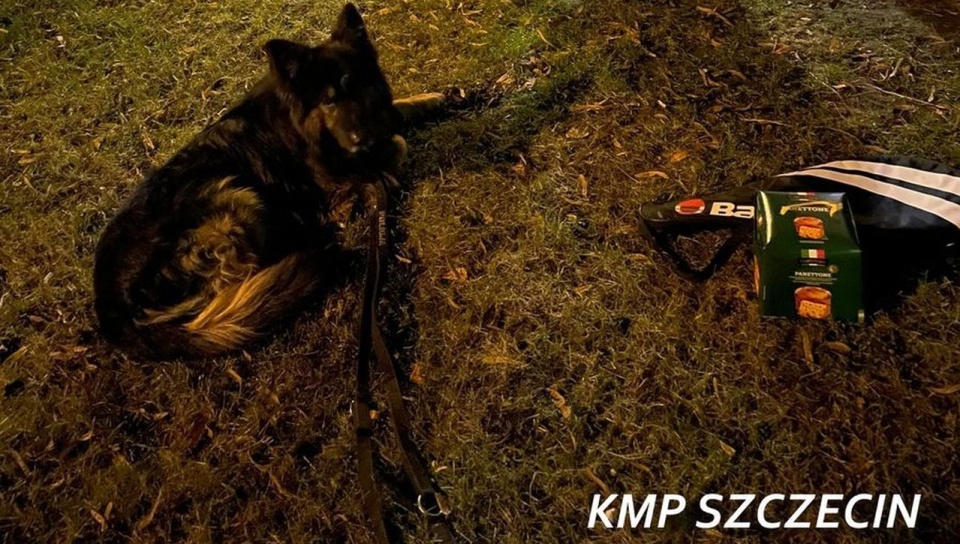 źródło: https://szczecin.policja.gov.pl/szm/dzialania-policji/aktualnosci/52552,Przewodnicy-psow-sluzbowych-wraz-z-Kalamem-zatrzymali-wlamywacza.html