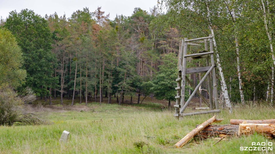 Zdjęcie podglądowe. Fot. Robert Stachnik [Radio Szczecin]