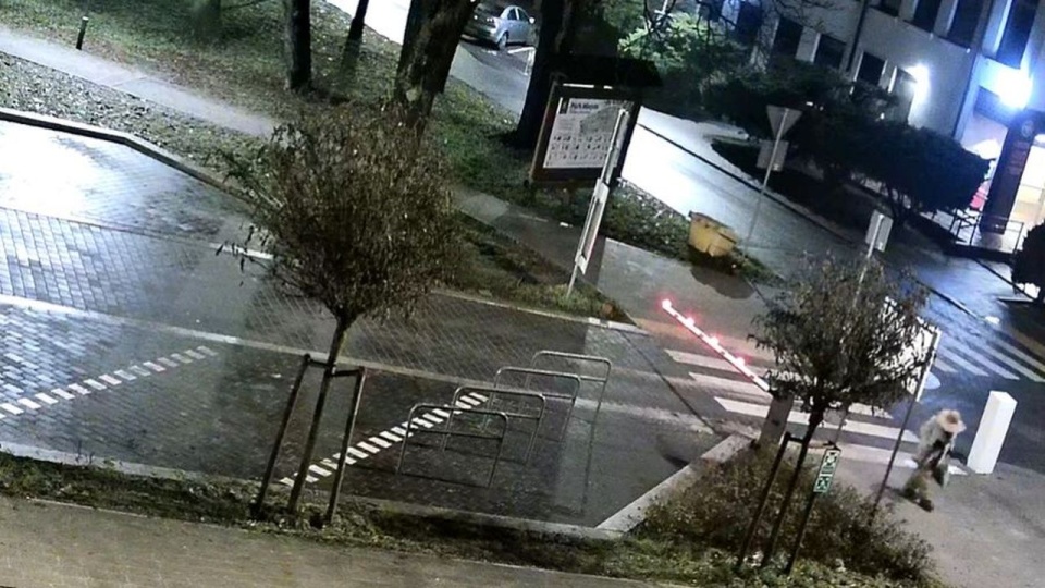 źródło: Komenda Powiatowa Policji w Gryfinie