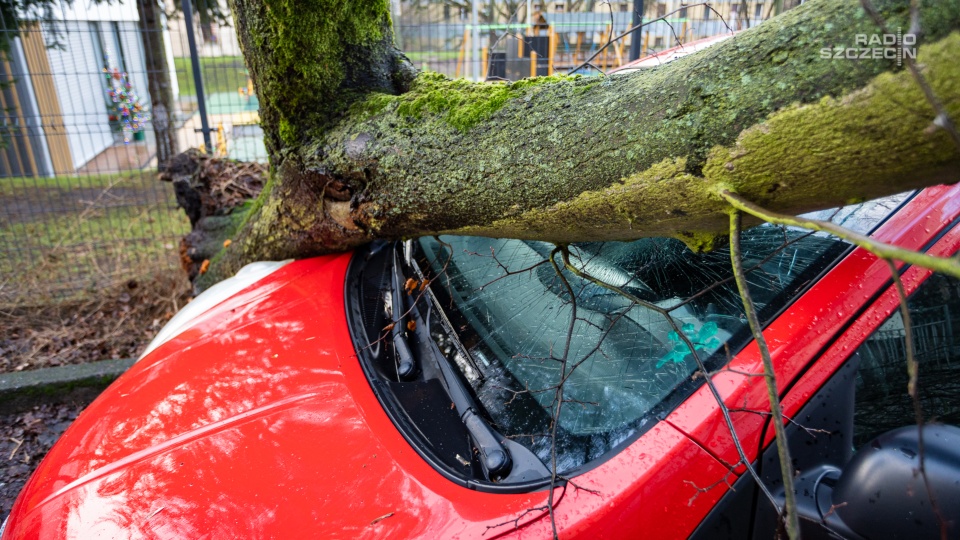 Zdjęcie podglądowe. Fot. Mateusz Papke [Radio Szczecin]