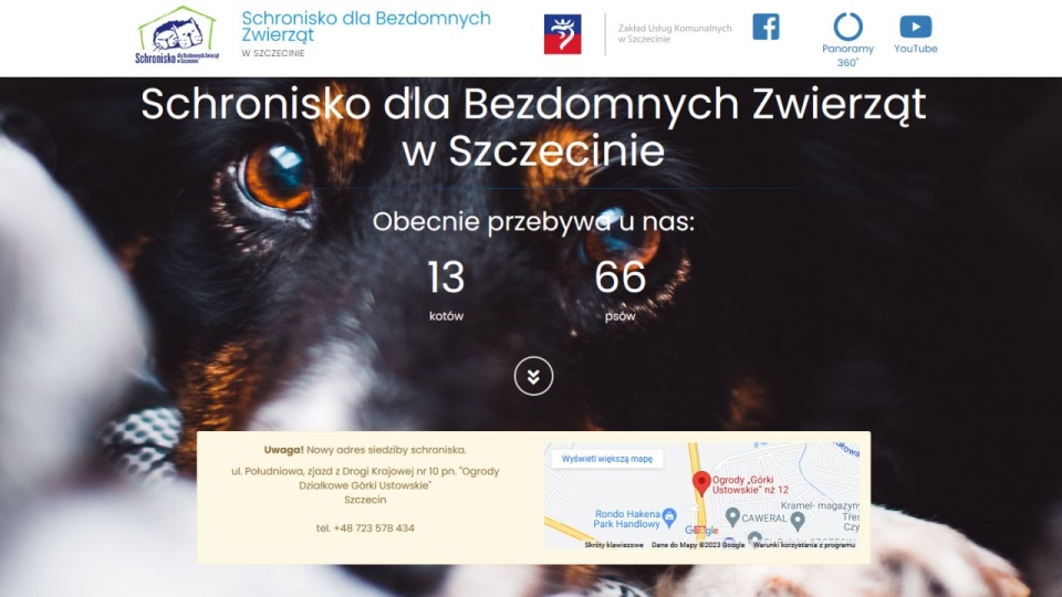 źródło: https://schronisko.szczecin.pl