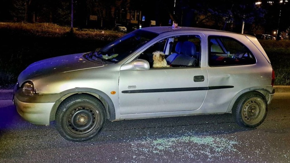 źródło: https://koszalin.policja.gov.pl/