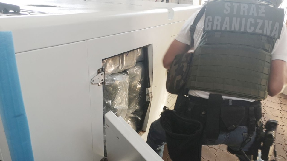 Śledczy szacują, że gang w ten sposób przerzucił z Hiszpanii do Polski przynajmniej 14 transportów, których było łącznie 700 kilogramów marihuany. źródło: https://www.gov.pl/web/prokuratura-krajowa