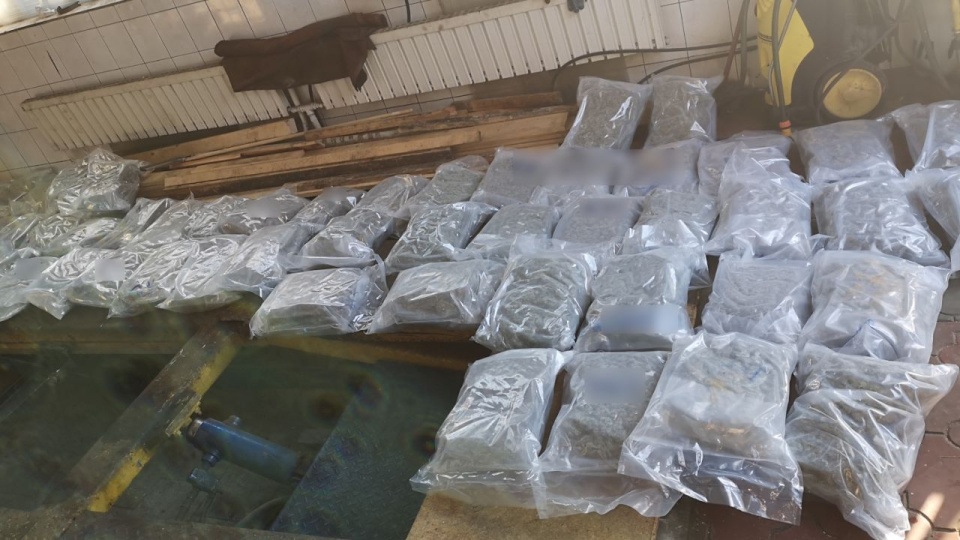 Śledczy szacują, że gang w ten sposób przerzucił z Hiszpanii do Polski przynajmniej 14 transportów, których było łącznie 700 kilogramów marihuany. źródło: https://www.gov.pl/web/prokuratura-krajowa