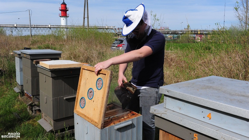 Najmłodszy zachodniopomorski pszczelarz posiada swoje pasieki między innymi w Policach, w Dębostrowie oraz na szczecińskim Dunikowie i Świerczewie. Fot. Marcin Kokolus [Radio Szczecin]