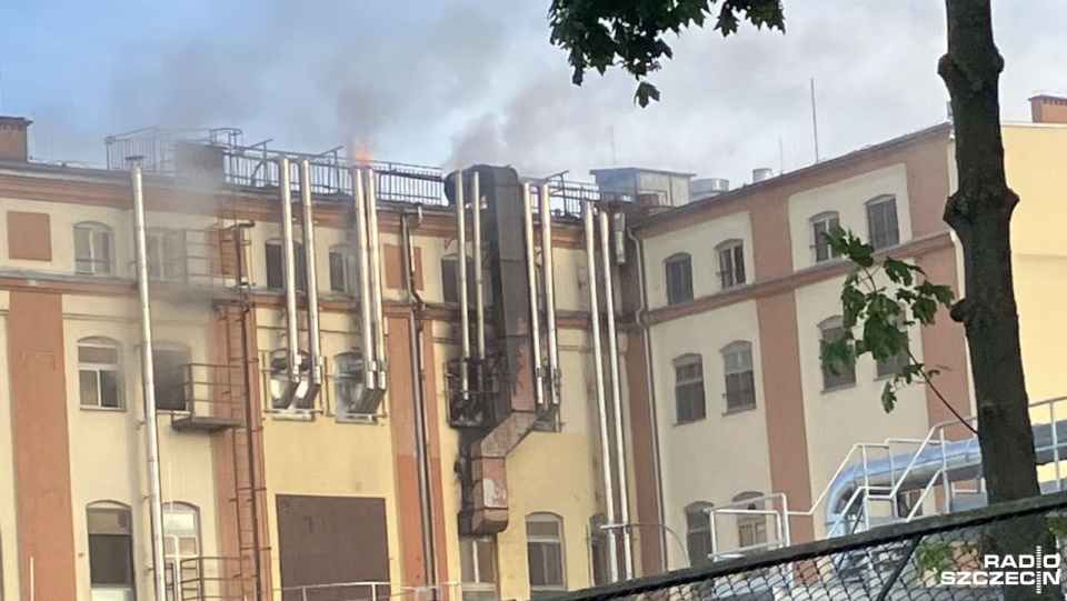 Fot. Jędrzej Gawroński [Radio Szczecin]