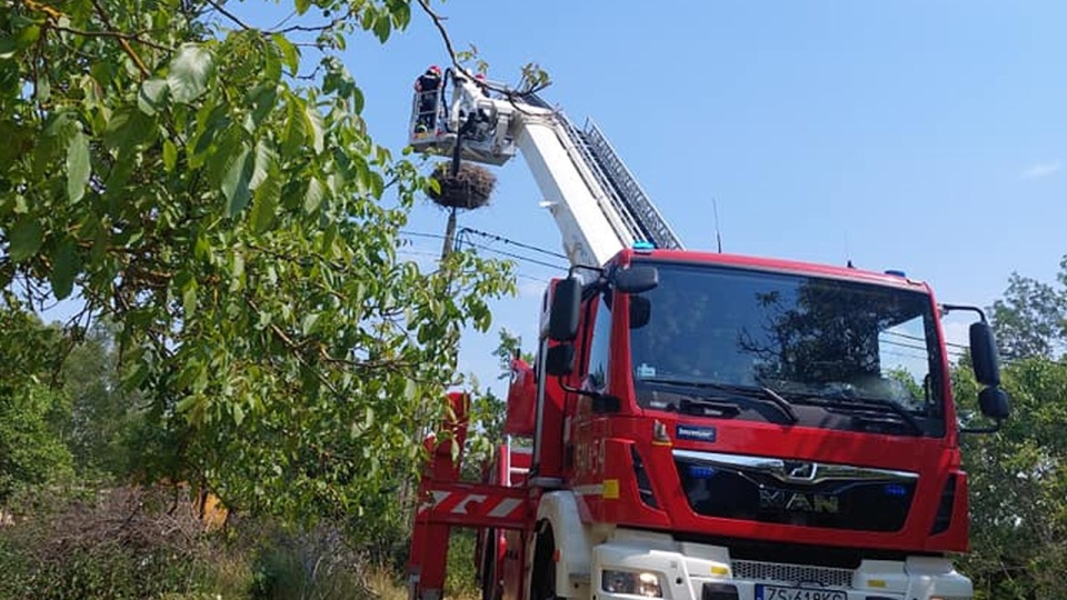 Sytuacja prowadzi do powolnego procesu wymierania populacji bocianów w Polsce. Fot. OSP Parsęcko