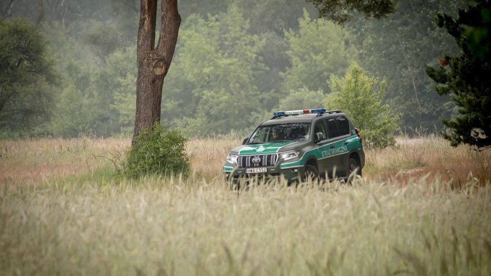 43 osoby na widok patroli Straży Granicznej wycofały się na Białoruś. źródło: https://twitter.com/Straz_Graniczna