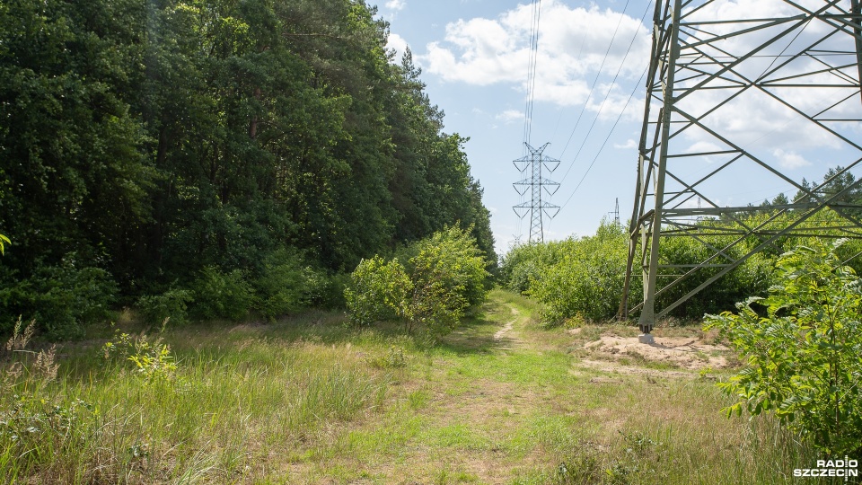Fot. Maciej Papke [Radio Szczecin]