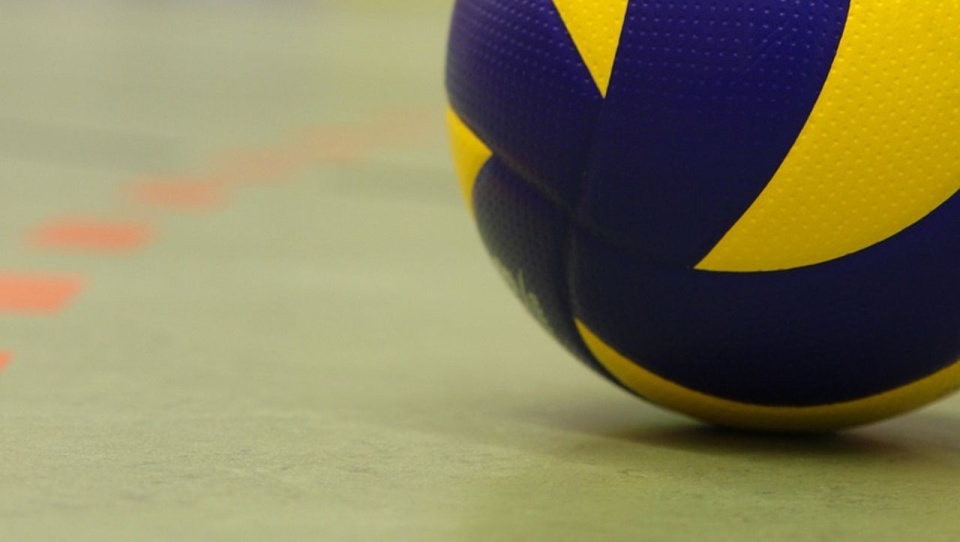 Fot. pixabay.com / TaniaVdB (CC0 domena publiczna)