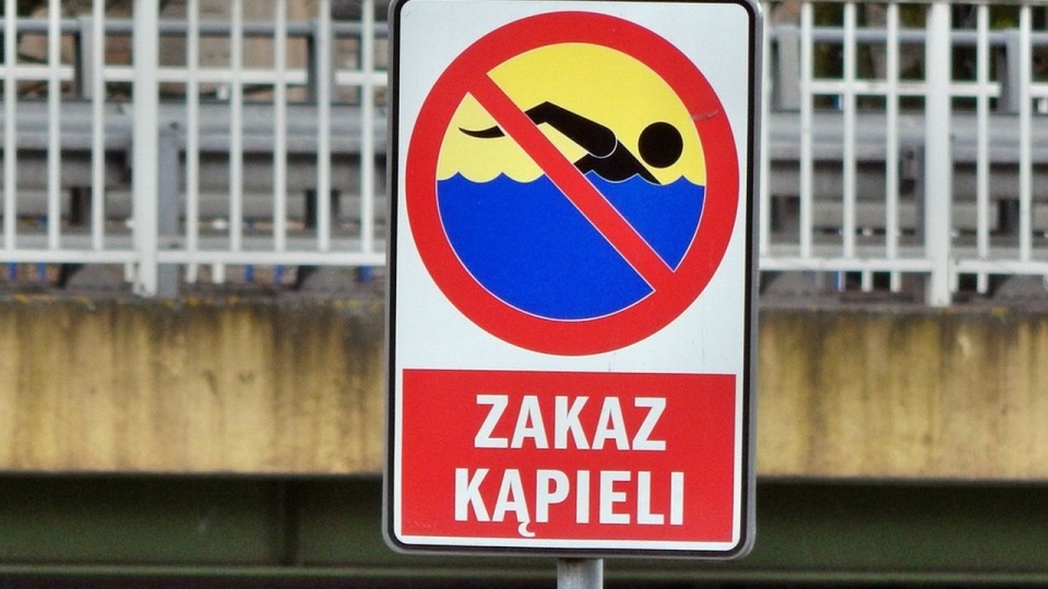 źródło: https://pixabay.com/pl/508291/BadziolTV/CC0 - domena publiczna