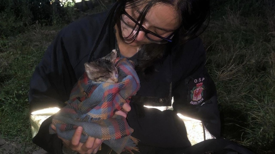 Fot. Facebook / OTOZ Animals Inspektorat w Barlinku