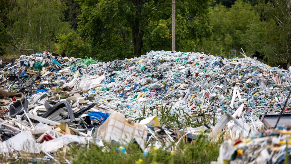 Fot. Robert Stachnik [Radio Szczecin]