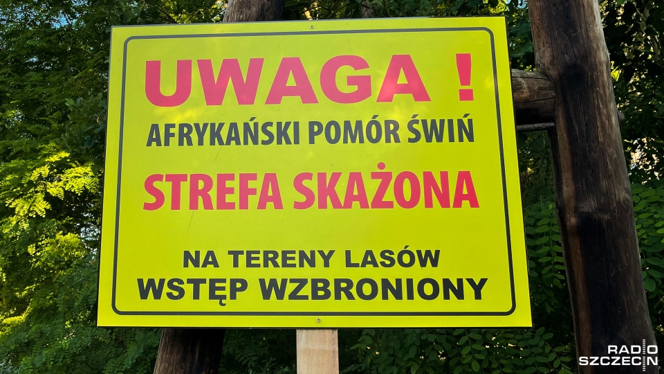 Fot. Robert Stachnik [Radio Szczecin]