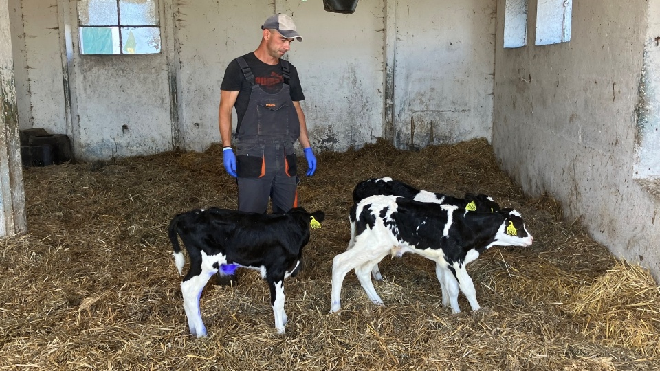 Fot. Piotr Tolko [Radio Szczecin]