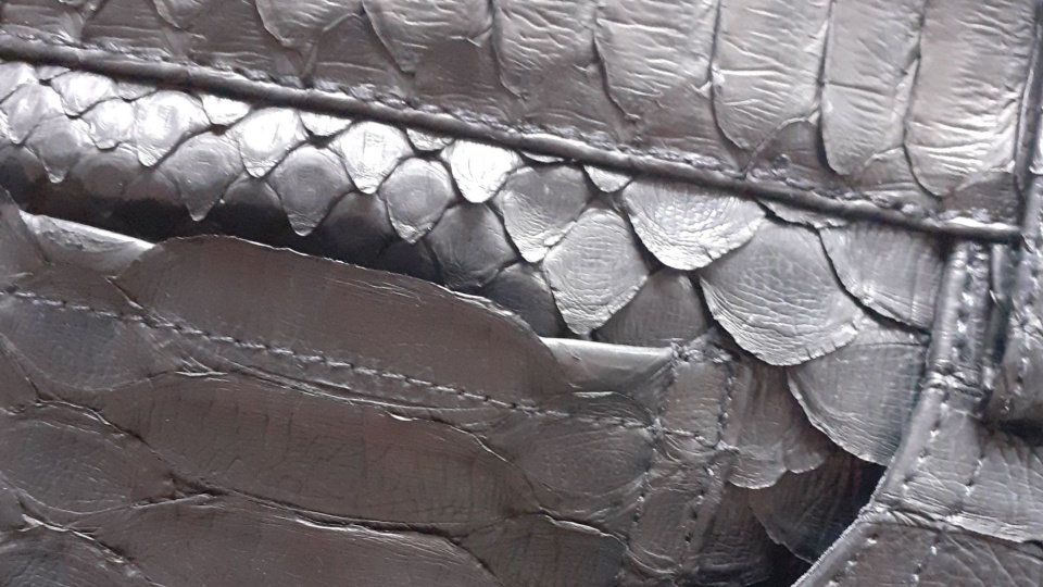 Fot. Izba Administracji Skarbowej w Szczecinie