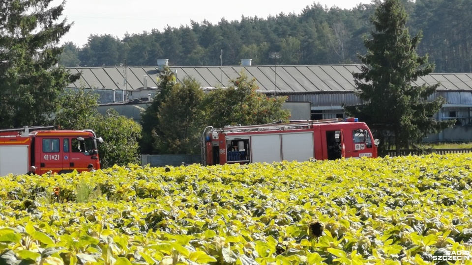 Fot. Marek Synowiecki [Radio Szczecin]