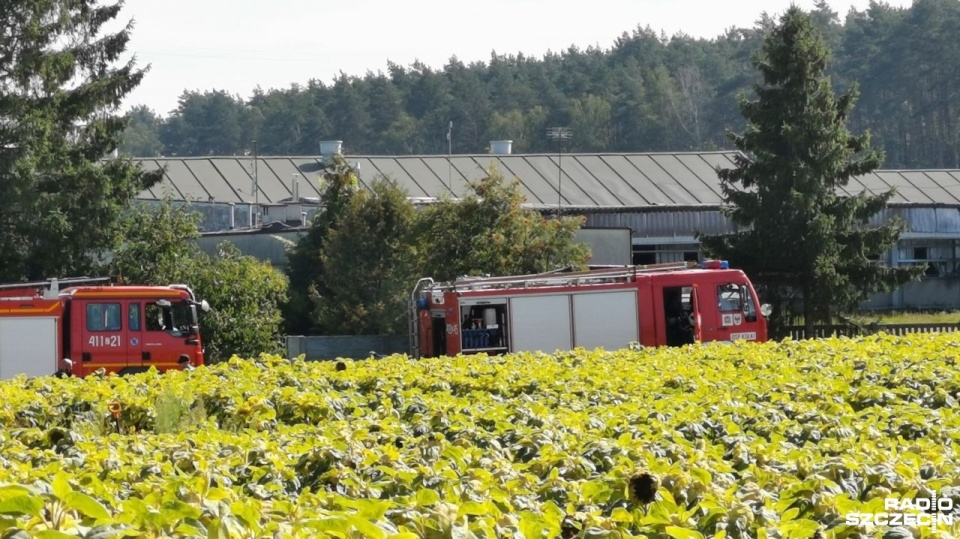 Fot. Marek Synowiecki [Radio Szczecin]