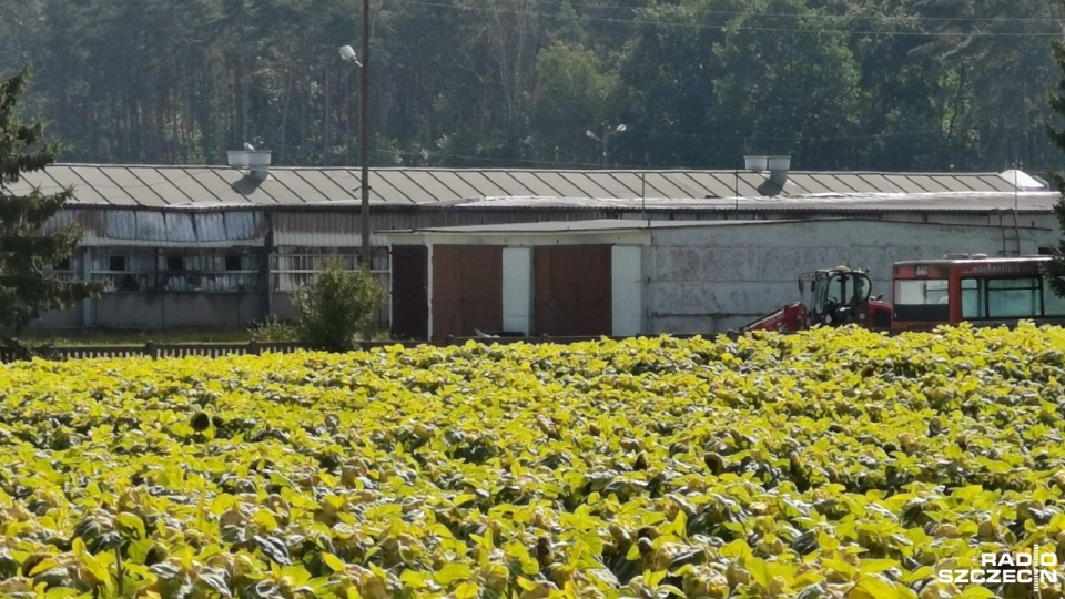 Fot. Marek Synowiecki [Radio Szczecin]