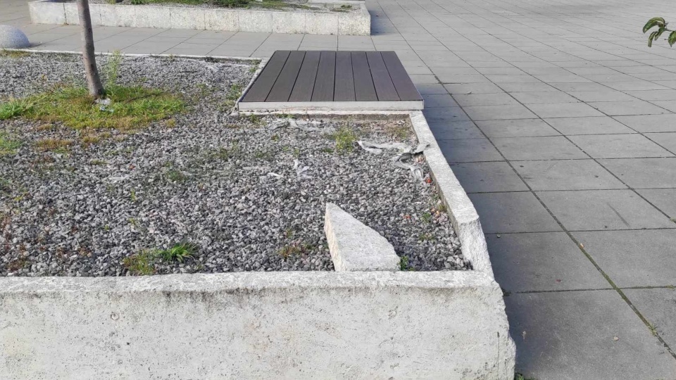 Źródło: https://bip.um.szczecin.pl/