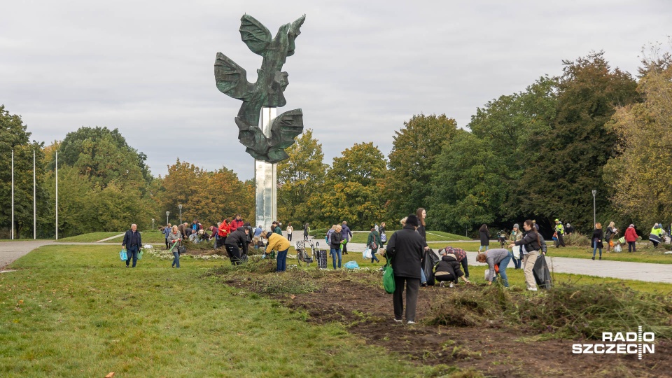 Rabaty zostały przygotowane tak, aby każdy mógł samodzielnie wyjąć z ziemi wybrane sadzonki. Fot. Robert Stachnik [Radio Szczecin]
