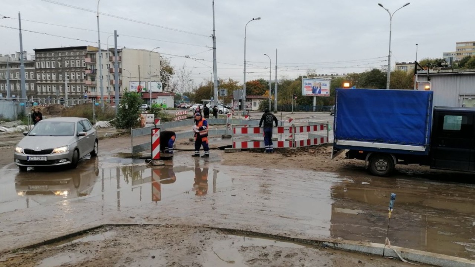 Fot. ZWiK