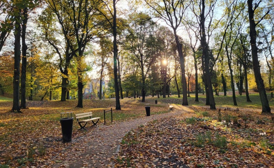 https://wiadomosci.szczecin.eu/