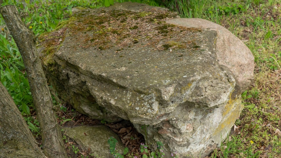 Fot. dr Marek Łuczak, Pomorskie Towarzystwo Historyczne