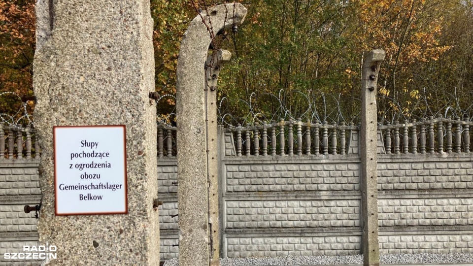 Przy budowie pomnika wykorzystano oryginalne słupy z ogrodzenia obozu. Fot. Grzegorz Gibas [Radio Szczecin]