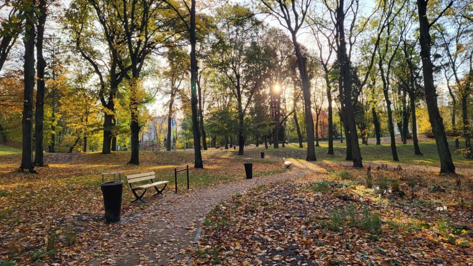 Fot. Urząd Miasta Szczecin