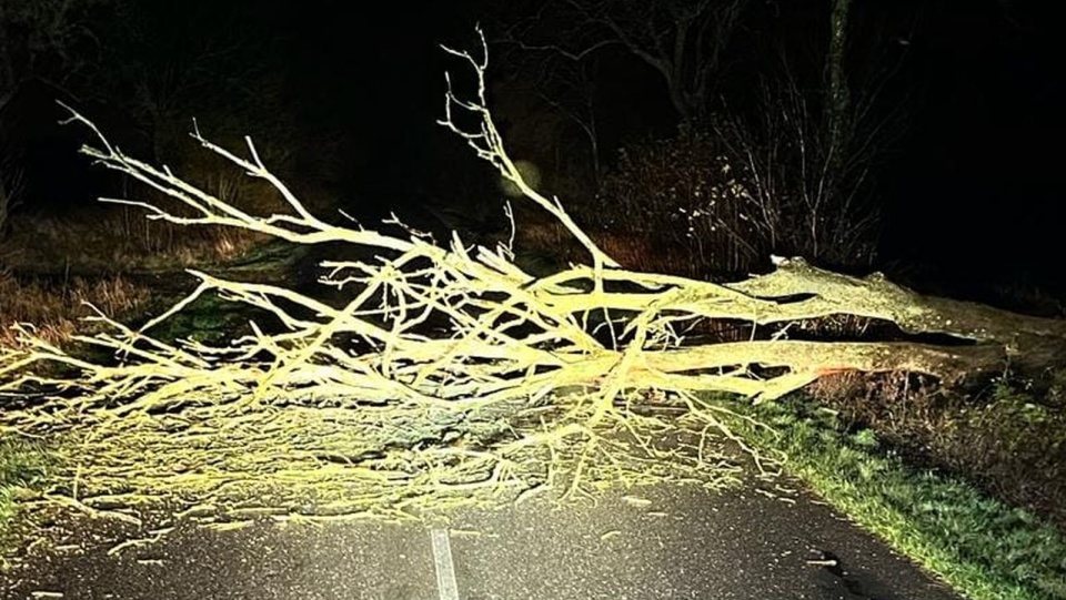 Fot. OSP Stara Dąbrowa