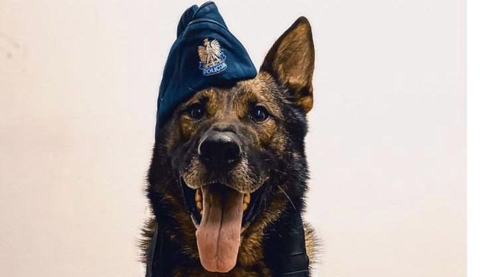 fot. https://koszalin.policja.gov.pl/