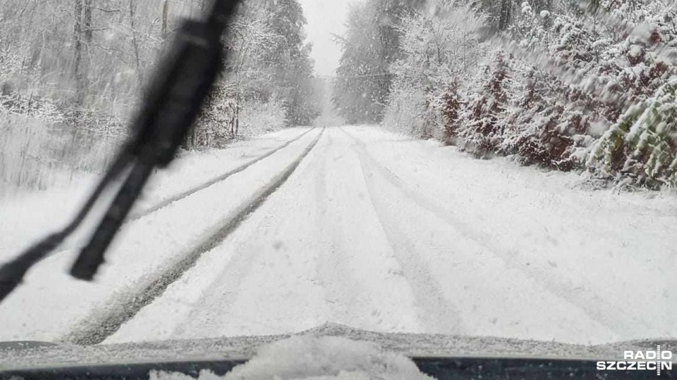 Fot. Jacek Rujna [Radio Szczecin]