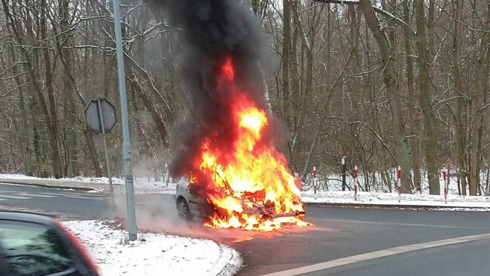 Fot. Słuchacz Tomasz