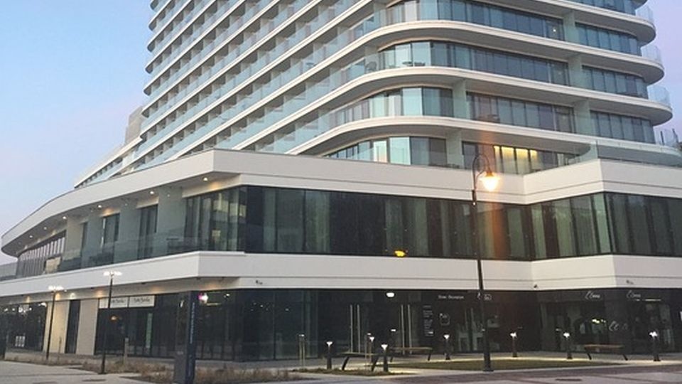 źródło: https://pixabay.com/pl/3865139/Asatira/CC0 - domena publiczna