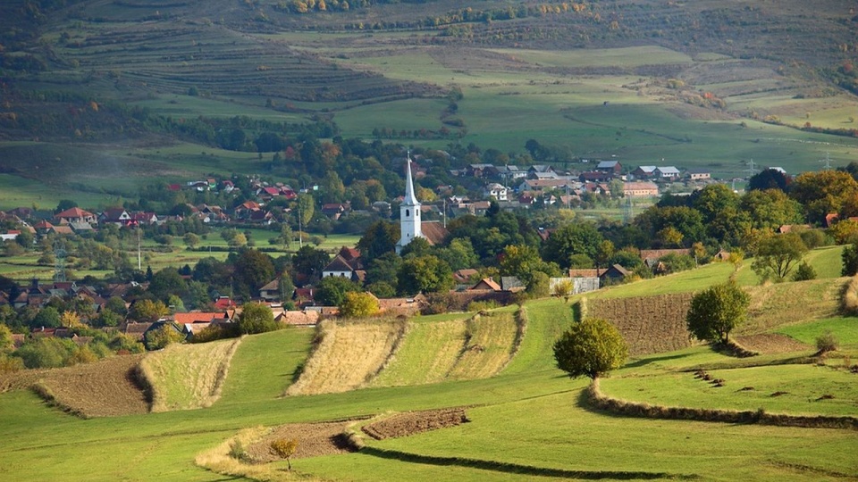 źródło: https://pixabay.com/pl/3721384/MolnarSzabolcsErdely/CC0 - domena publiczna