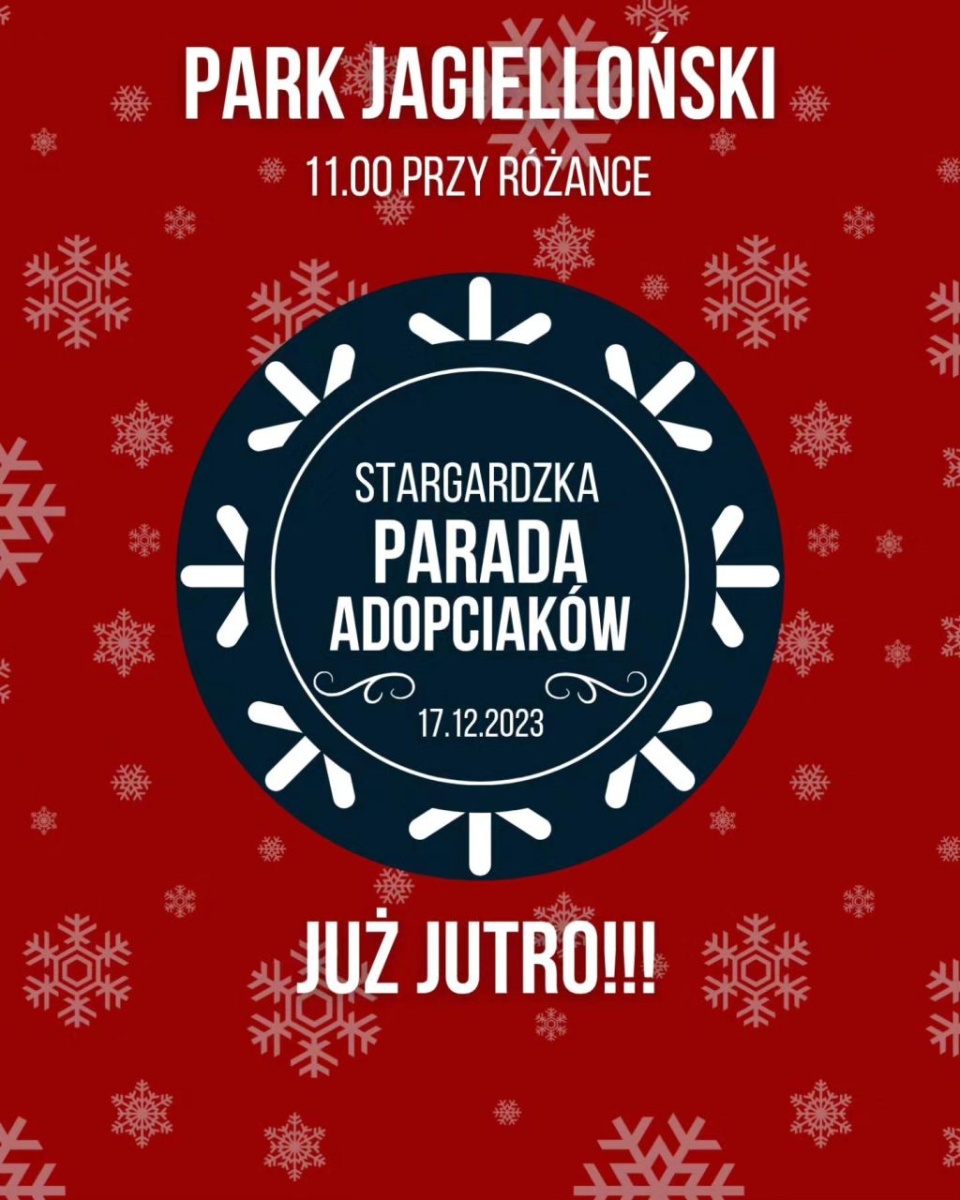 Mat. Organizatorów