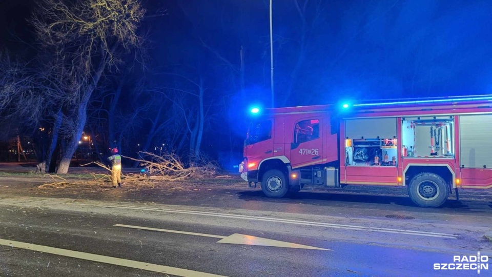 Połamane i powalone drzewa to najczęstsze interwencje strażaków zawodowych z Kołobrzegu i ochotników z terenu powiatu kołobrzeskiego. Fot. Przemysław Polanin [Radio Szczecin]