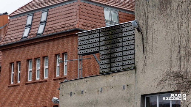 Fot. Robert Stachnik [Radio Szczecin] Projekt "Miasto jako ptasi ekosystem" z coraz większym poślizgiem [WIDEO, ZDJĘCIA]