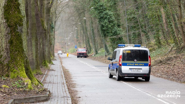Fot. Robert Stachnik [Radio Szczecin] Żabi patrol czuwa nad bezpieczeństwem płazów [WIDEO, ZDJĘCIA]