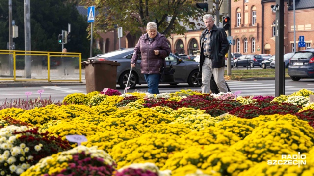 Fot. Robert Stachnik [Radio Szczecin] Ruch przy cmentarzu. Jakie ceny kwiatów i zniczy? [WIDEO, ZDJĘCIA]