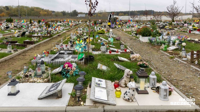 Grzebowisko dla zwierząt przy ul. Bielańskiej w Szczecinie. Fot. Robert Stachnik [Radio Szczecin] Szczecinianie odwiedzają groby czworonożnych przyjaciół. "Potrzebujemy takiego miejsca" [WIDEO, ZDJĘCIA]